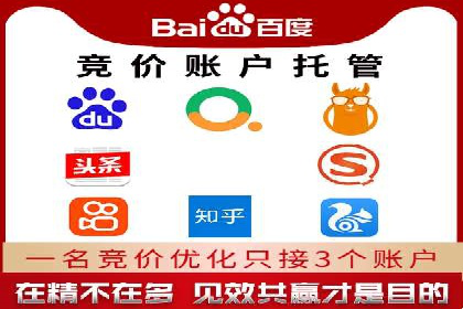 行业领先：竞价SEM托管案例剖析