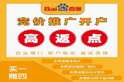 网站sem托管案例分享：如何精准投放广告